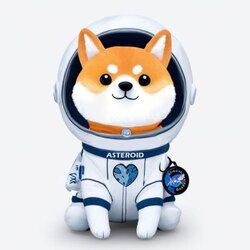 Asteroid Shiba (ASTEROID)