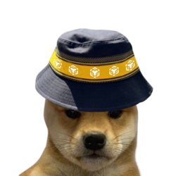 BNB DOGE (BOGE)
