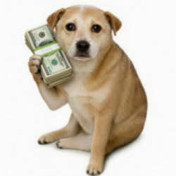 CashDog (CASHDOG)