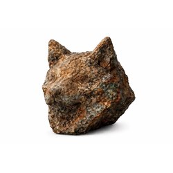 Copper (inu) (COPPERINU)