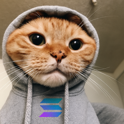 Hood Cat (HOOD)