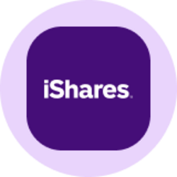 iShares Russell 2000 Value ETF (Ondo Tokenized ETF) (IWNON)
