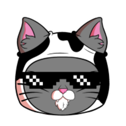 KitCoin (KITTY)