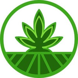 Strains (SFN)