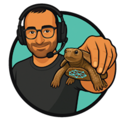 Bitcoin the Turtle (SLOW)