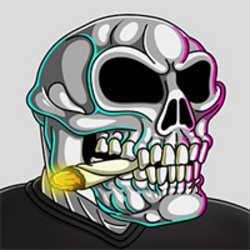 Boochie by Matt Furie (BOOCHIE)