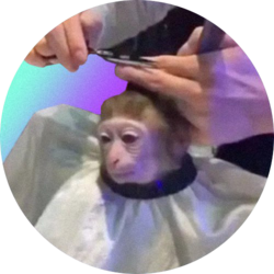 monkeyhaircut (MONK)