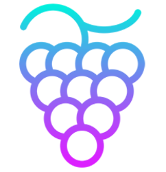 Grape Protocol (GRAPE)