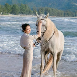 马到成功 (Success) (马到成功)