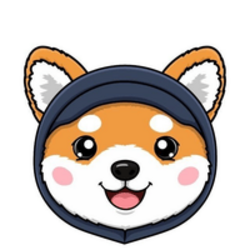 Asteroid Shiba (ASTEROID)