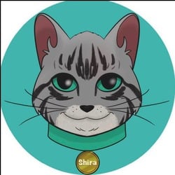 Shira Cat (CATSHIRA)