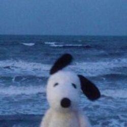 Doug (DOUG)