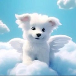 Dove The Dog (DOVE)