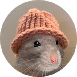 RatWifHat (RATWIF)