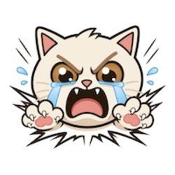 CRASH CAT (CRASHCAT)