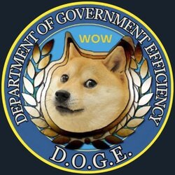 Department of Gov Efficiency (DOGE)