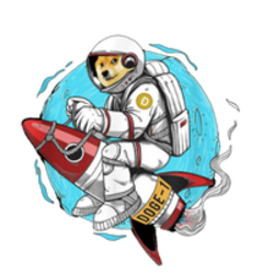 Doge-1 Mission to the moon (DOGE-1)