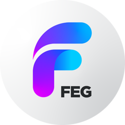 FEG BSC (FEG)