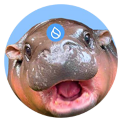 sudeng (HIPPO)