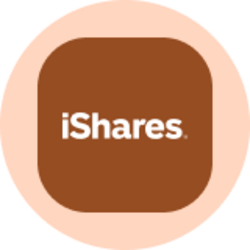 iShares Silver Trust (Ondo Tokenized Stock) (SLVON)