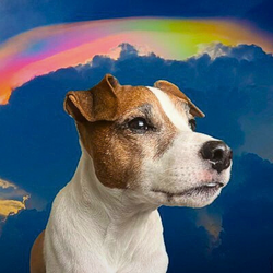 ADOPT (ADOPT)