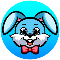 Crazy Bunny Equity (CBUNNY)