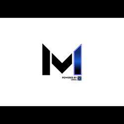 MLM X (MLMX)