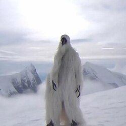 Opium Bird (OPIUMBIRD)