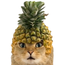 Pineapple Cat (PICA)