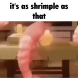 its as shrimple as that (SHRIMPLE)