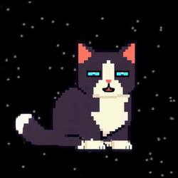 Spacecat (SPACECAT)