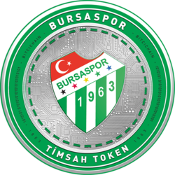 Bursaspor Fan Token (TMSH)