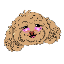 Winnie the Poodle (WINNIE)