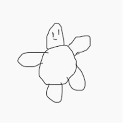 The Sloppy Drawn Turtle (FRANK)