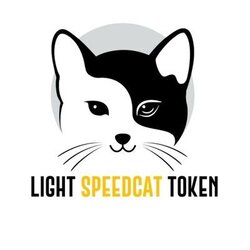 Light Speed Cat (LSCAT)