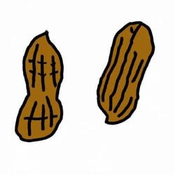 Deez Nuts (NUTS)