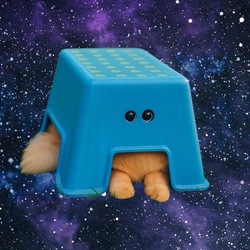 cat in stool (COOL)