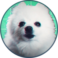 Gabecoin (GABECOIN)