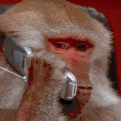 Monke Phone (MONKEPHONE)