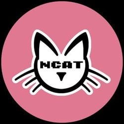 NCAT (NCAT)