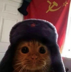 Communist Cat (CCAT)
