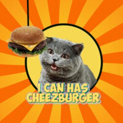 Cheezburger (CHEEZ)