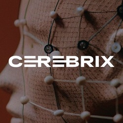 Cerebrix AI (CRBRX)