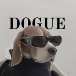 DOGUE (DOGUE)