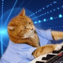 Keyboard Cat (Base) (KEYCAT)