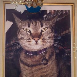 Remember KitKat (KITKAT)