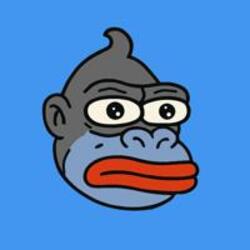 Mambo (MAMBO)