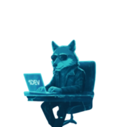 1DEV (1DEV)