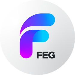 FEG BSC (OLD) (FEG)