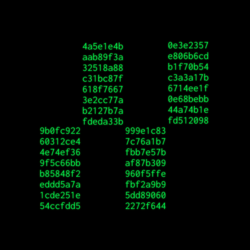 Hiero Terminal (HTERM)